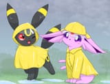 Raincoat Pair (2)