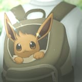 Traveller