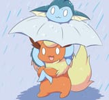 Teamwork