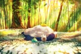 pokemon_nap_time_by_kloir_dei791r-pre