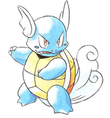 008Wartortle_RG