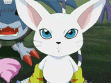 tailmon-kick