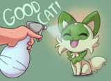 spray the grass cat