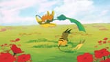 Raichu and Raichu @feyzichris