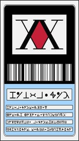 Hunter x License