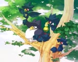 __budew_murkrow_and_honchkrow_pokemon_drawn_by_emunise__fbf68bc1f693986670ab9810a7794e62