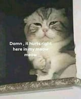 1691790925563550