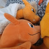 IMG-20250616-WA0000