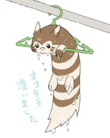 hanging furret out to dry