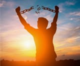 IMFREE