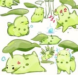 buncha chikoritas