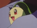 chikocomfy