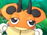 ledyba