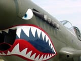 p40_warhawk_1024x1024