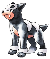 Houndour