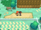 Screenshot 2025-06-18 141356