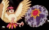 star