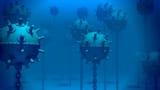 underwater-sea-mine-danger-weapon-deadly-naval-ocean-sea_bpocqo-8__F0000[1]