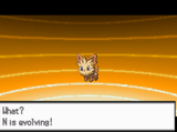 Screenshot 2025-06-19 130837