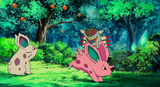 Tree_of_Beginning_Nidoran