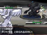 N (zekrom)