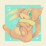 79203702_p3