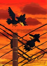 __murkrow_pokemon_drawn_by_nankyoku_antarctic_poke__8ac895683b04475aacbe794eb1ab9678