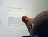 dynamax popplio when