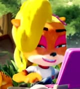 cocobandicootcomputer