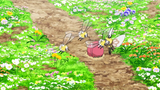 800px-Aether_Paradise_Cutiefly_Ribombee