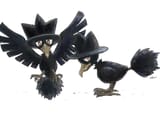 __murkrow_pokemon_drawn_by_ikei__9f3f8c6f9440100d6c996f399e9db33a