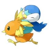 pokemon_torchic_piplup