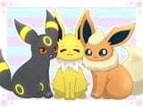 135 136 197 @yun___0707