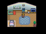 200px-Player_Bedroom_HGSS