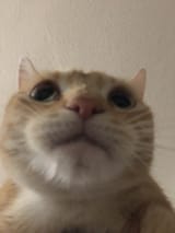 1752539914759
