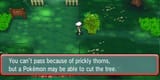 PRICKLY