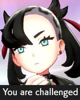 You are challenged