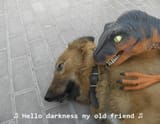 hello darkness