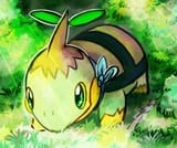 775a2978535d4b2aaecd266c8de3e977