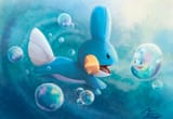 __mudkip_pokemon_drawn_by_tiina__sample-18d5d03571e3372f70715590791e58ac