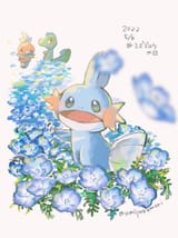 __torchic_mudkip_and_treecko_pokemon_drawn_by_umipokemori__fb41591d8410fd3960c97a03c9e20dc2