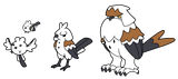 Shimaenaga