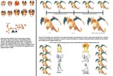 Sprites vs Models