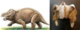 dicynodonts