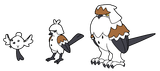Shimaenaga