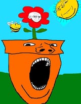 images