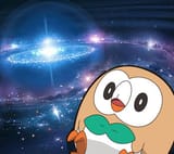 owls are in fact birds