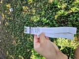 Thread 57944908 OP Image