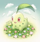 chikokagure