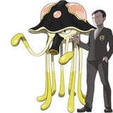 Giovanni&amp;Toedscruel